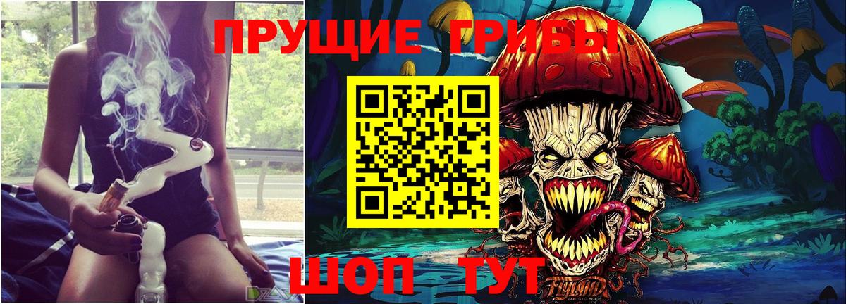 Ухта  Псилоцибиновые грибы Psilocybine cubensis  Вход с VPN 
