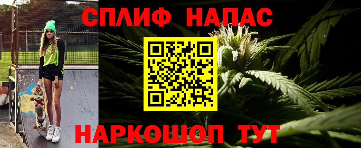 Бошки Шишки семена Ухта